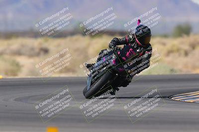 media/Nov-11-2023-SoCal Trackdays (Sat) [[efd63766ff]]/Turn 16 (11am)/